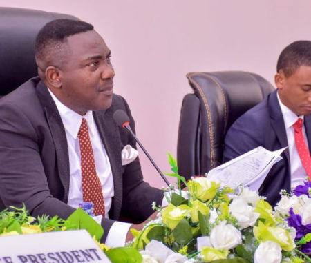 Assemblée provinciale de Kinshasa : Godé Mpoy visé par une pétition