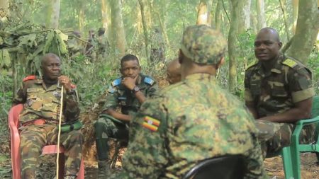 RDC : environ 550 ADF tués par les armées congolaise et ougandaise depuis novembre 2021