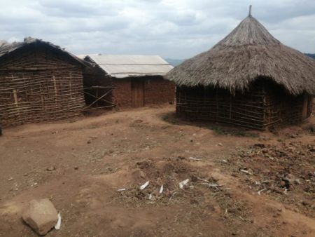 Ituri : 8 morts après une incursion des ADF à Walese Vonkutu