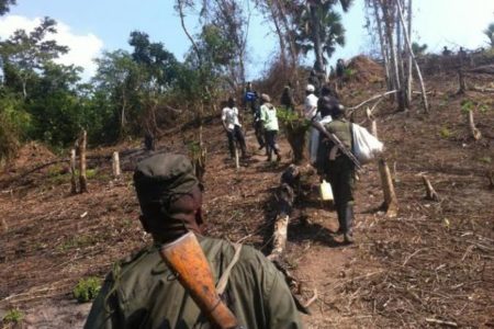 Nord-Kivu : une mission humanitaire du gouvernement attendue à Oïcha