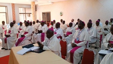 RDC : les évêques catholiques passent au crible les défaillances des élections du 20 décembre