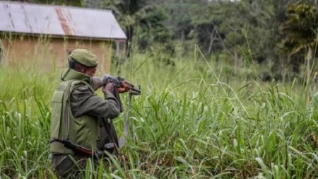 RDC : plus de 1000 ADF/MTM neutralisés en 2023 à Beni et Ituri