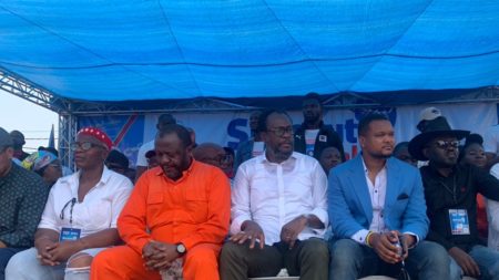 Delly Sesanga : « Tshisekedi veut être président à vie »