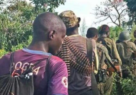 Nord-Kivu : plus de 1 500 civils tués en un an par les ADF à Lubero, selon la société civile